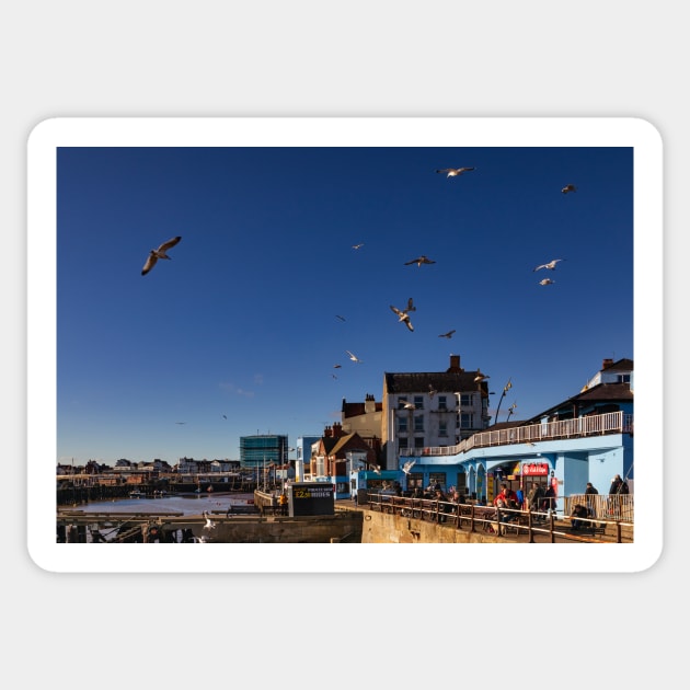 Bridlington Sticker by jasminewang